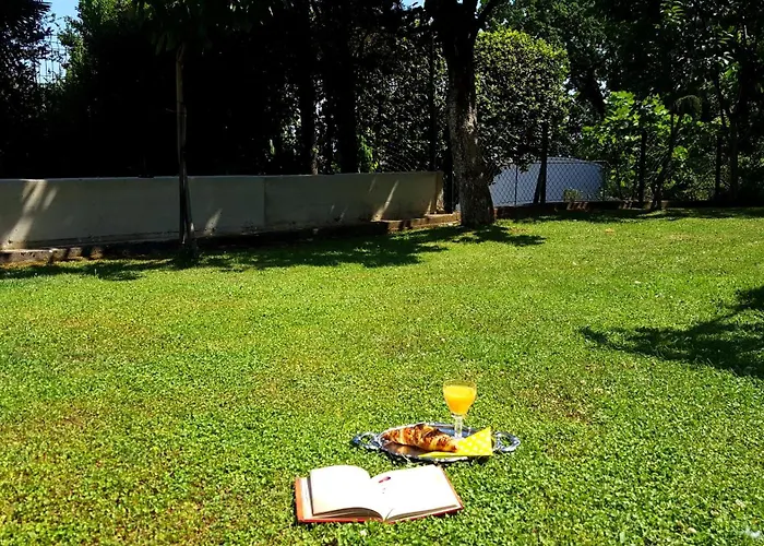 Mary's Garden